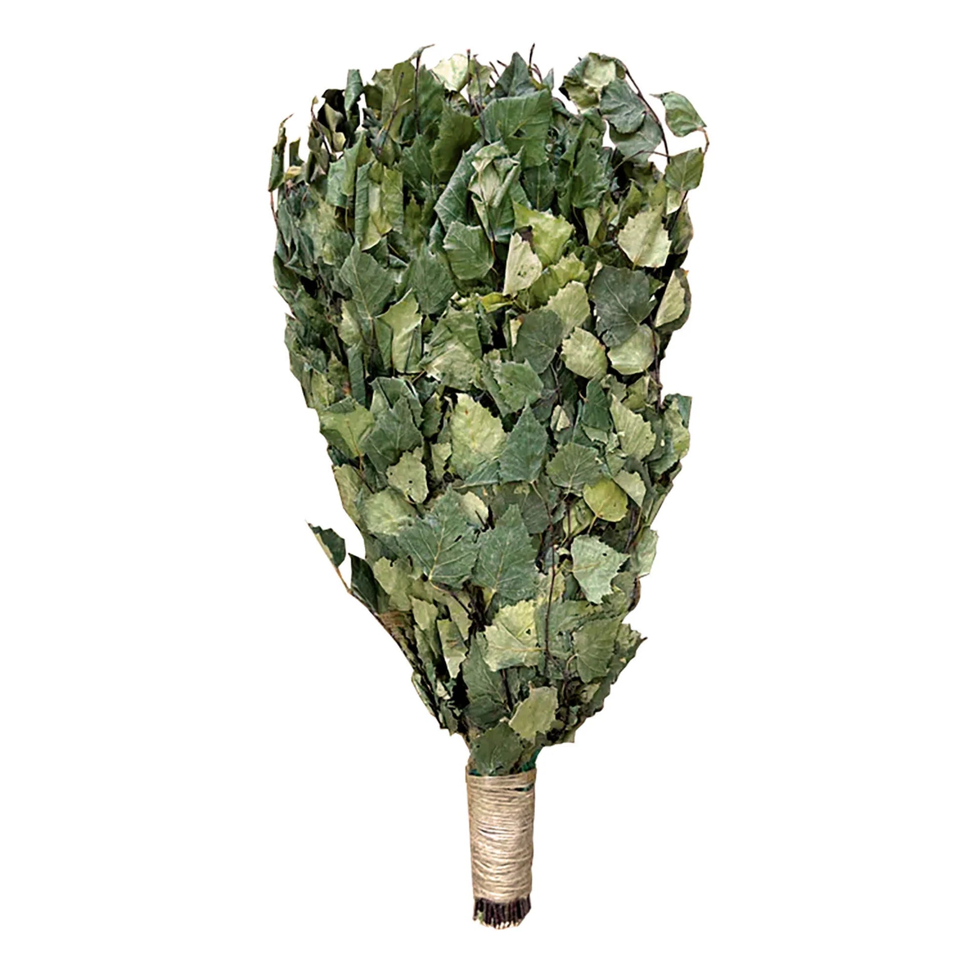 Birch Sauna Whisk / Vihta (Dried)
