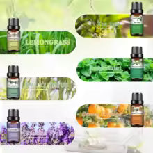 Sauna Essential Oil Set (6×10ml)